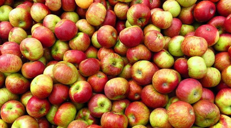 Las manzanas no son solo vitaminas.